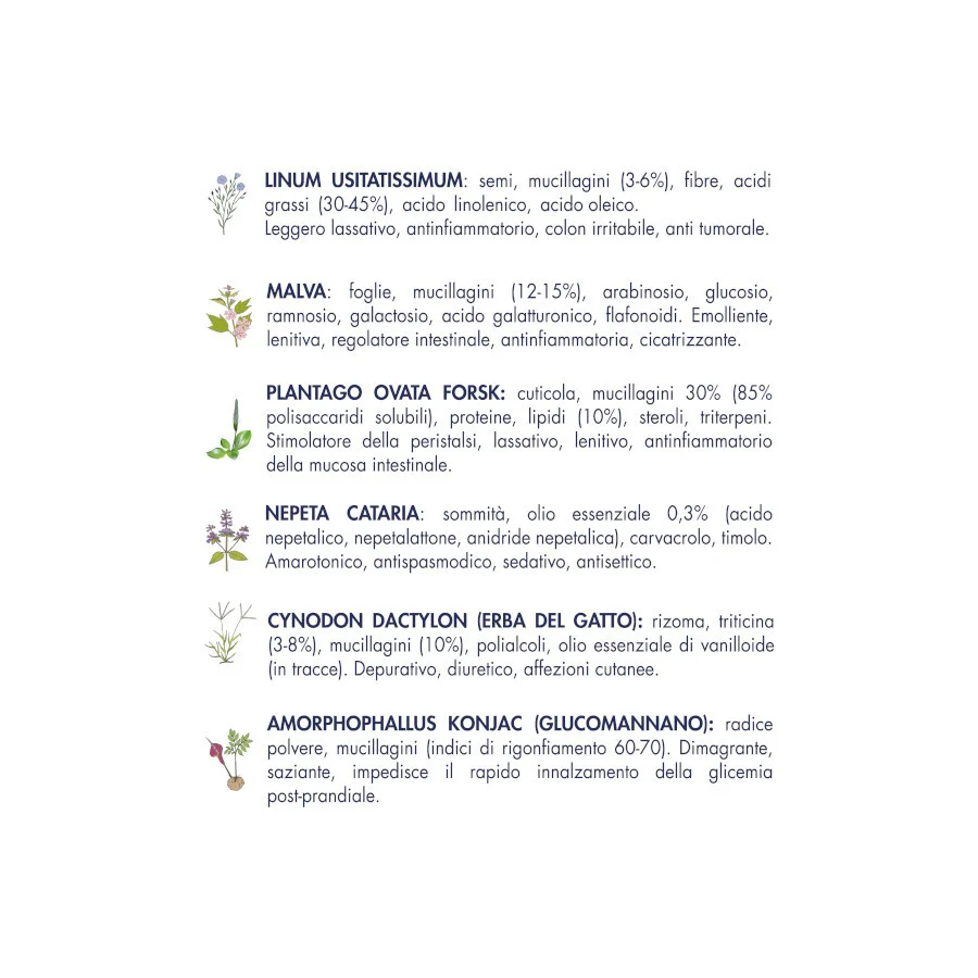 Vet Line Salute Steri Maiale e Prosciutto 800gr - Gatti Sterilizzati - immagine 4