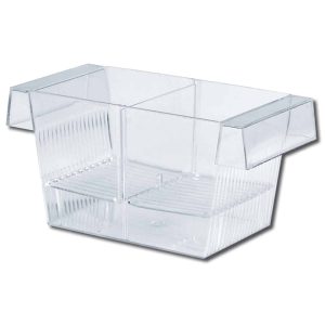 Amtra Sala Parto per Acquario con Coperchio