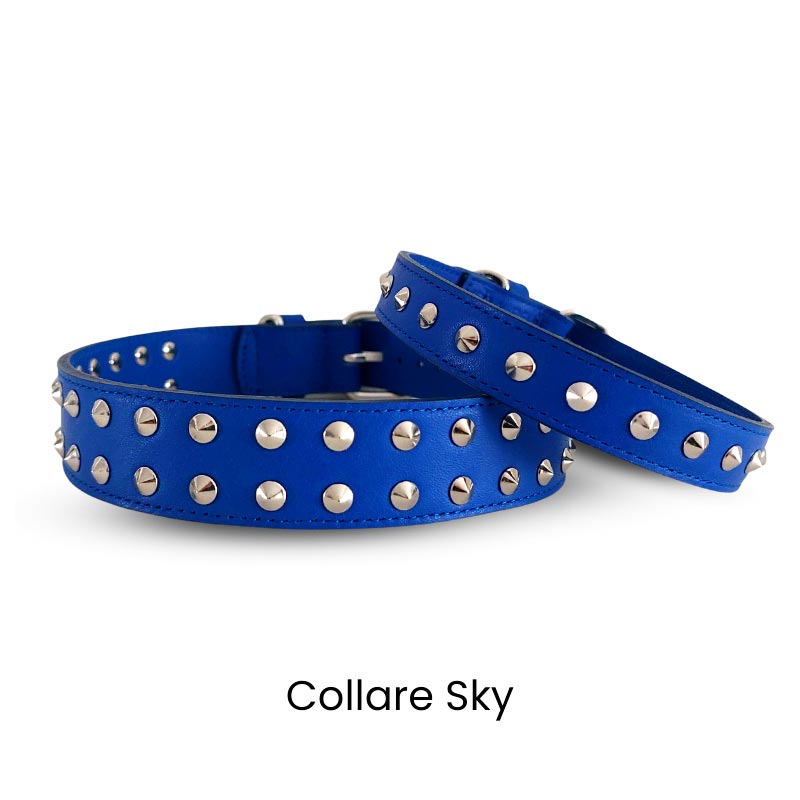 Collare cane in vera pelle LINEA SKY con borchie – blu elettrico