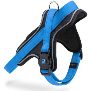 My Family Pettorina Y Norvegese per Cane XS Blu