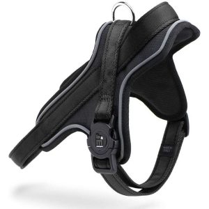 My Family Pettorina Y Norvegese per Cane XS Nero