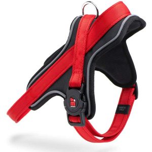 My Family Pettorina Y Norvegese per Cane S/M Rosso