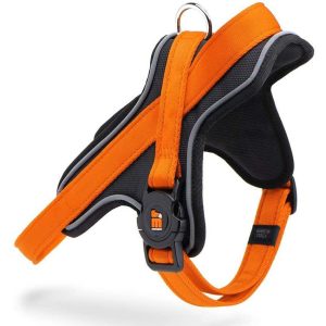 My Family Pettorina Y Norvegese per Cane L Arancione