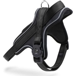 My Family Pettorina Y Norvegese per Cane XXL Nero