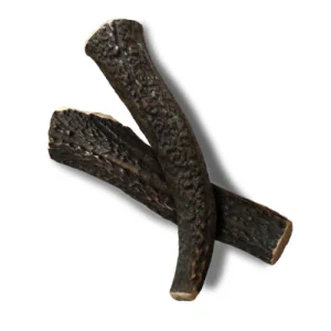 Corna di Cervo Misura L Snack per Cane