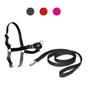 Pettorina per Cani Easy Walk - XL, Nero