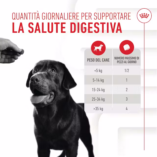 Royal Canin Supplement Digestion 160g - Snack Funzionali Digestione Cane - immagine 4
