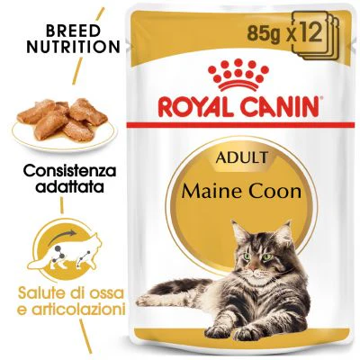 12x85g Royal Canin Maine Coon Adult in Salsa - immagine 3
