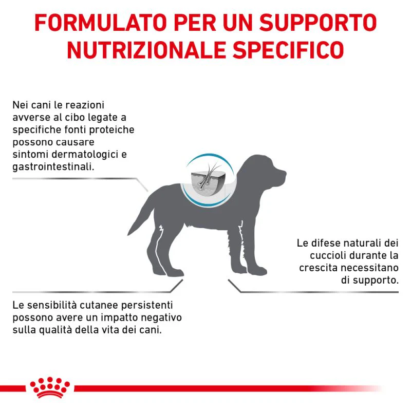 Royal Canin Hypoallergenic Puppy Veterinary 3,5kg Crocchette Cane - immagine 3