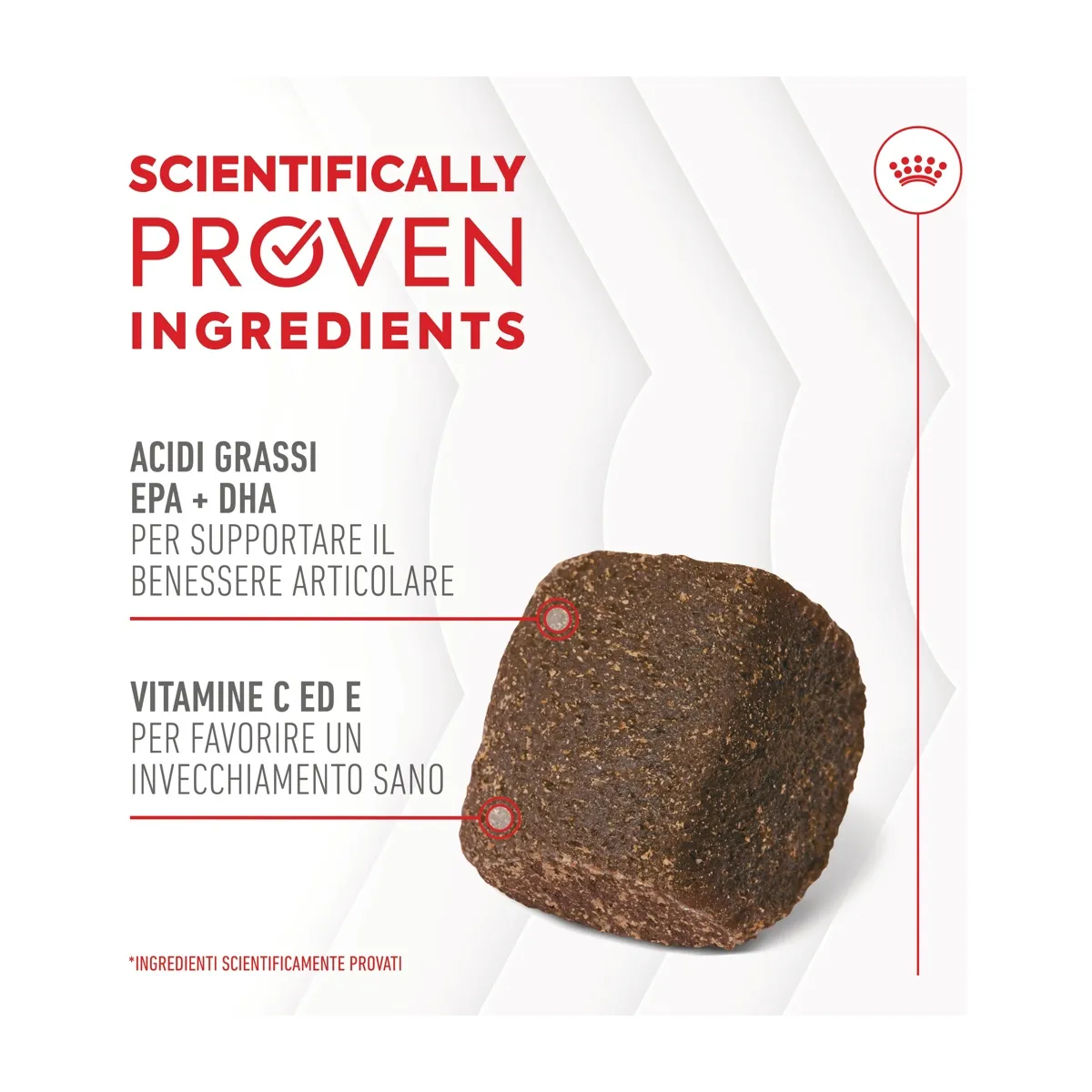 ROYAL CANIN Joint & Ageing Supplement 240G - immagine 3