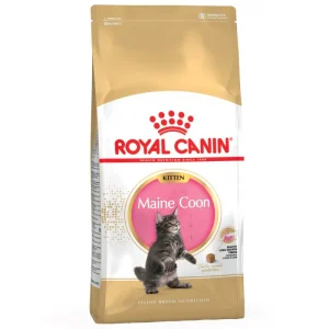 Royal Canin Maine Coon Kitten 4kg - Crocchette per Gatti