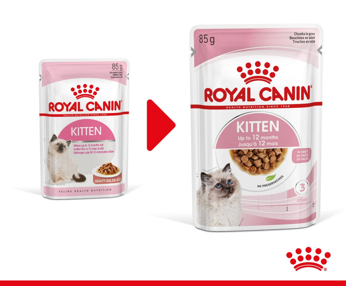 12x85g Royal Canin Kitten in Salsa - Cibo Umido per Gatti - immagine 3