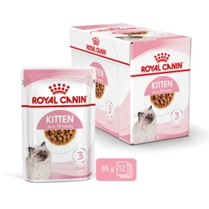 12x85g Royal Canin Kitten in Salsa - Cibo Umido per Gatti