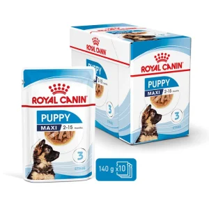 10x140g Royal Canin Maxi Puppy - Umido per Cani Cuccioli