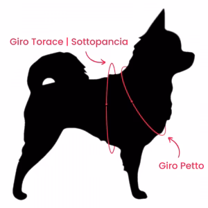 Tre Ponti Pettorina Easy Fit Con Sottopancia Regolabile Bordo Cannetè Rosa Taglia 2,5 - immagine 3